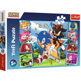 Trefl, puzzle 100el 5+ Poznaj Sonica