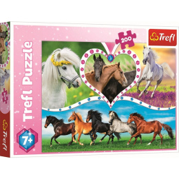 Trefl, puzzle 200el 7+ Piękne konie